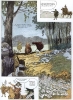 Image d'une planche